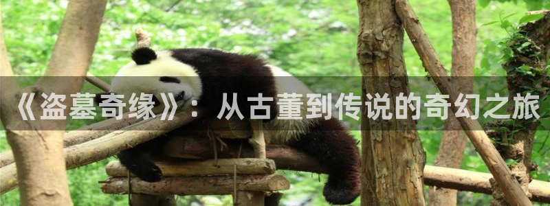 99国产精品久久久久影院