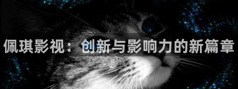 日久久视频
