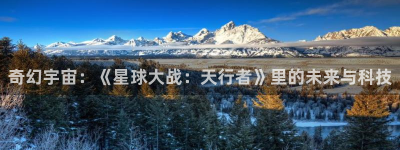 高清视频久久久久久久
