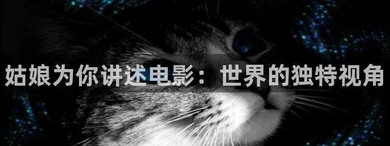 久久视频在线看