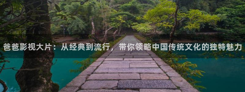 久久视频精品15