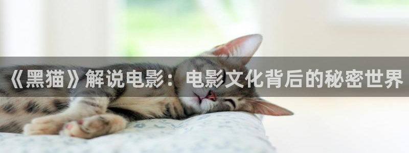 久久视频6