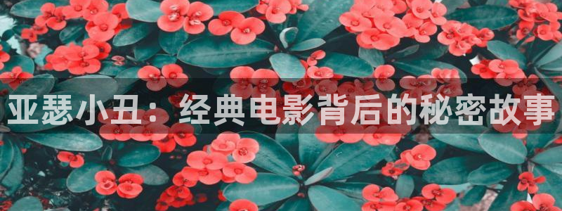 91久久视频国产