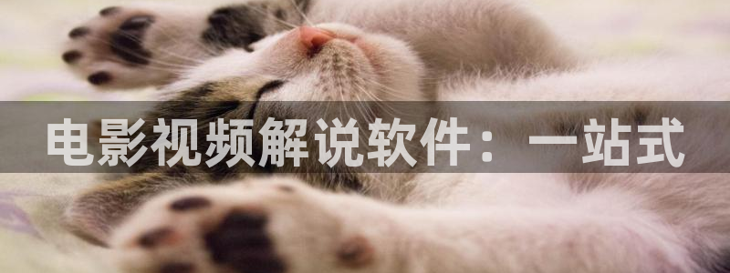 久久视频欧美