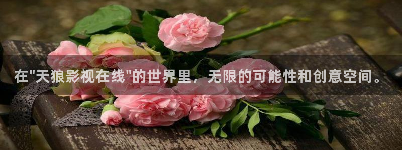 久久久久久1影院