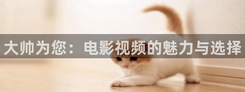 久久视频爱