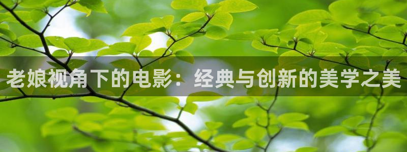 久久久久久黄色免亚洲费观看视频