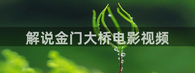 国产精品欧美久久久久天天影视