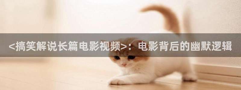 久久久久久久午夜电影网