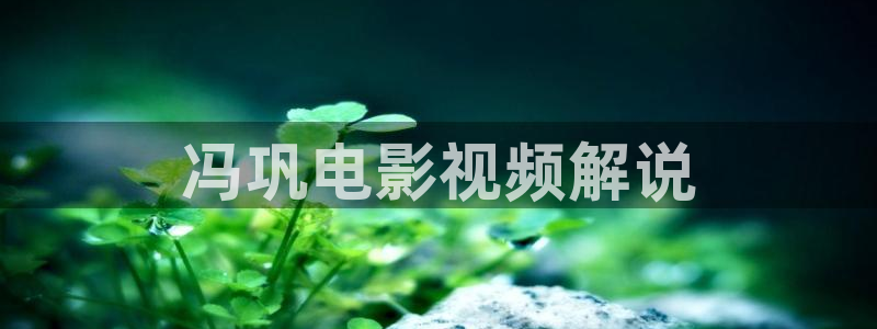 99久久视频精品