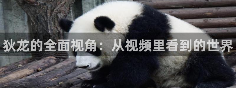 国产精品久久久久精品视频