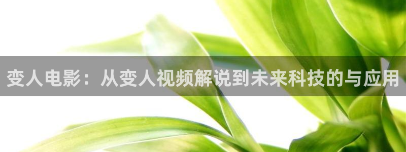 久久视频首页