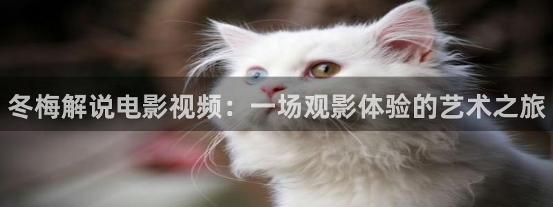 国产精品久久久久电影网