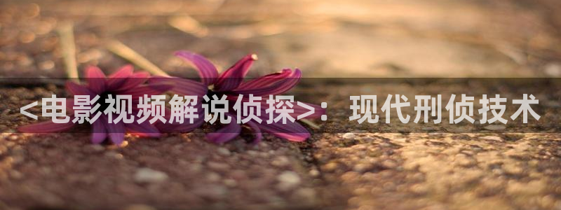 国产精品久久久久亚洲影视