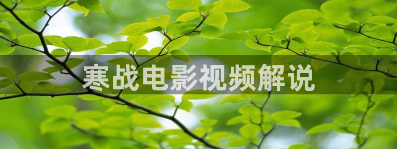 亚洲精品久久久久久精品电影