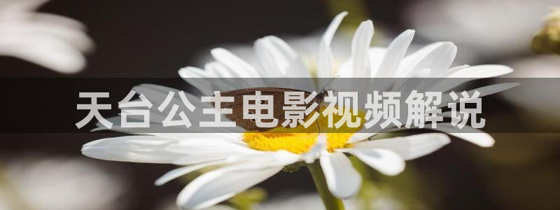 国产精品视频久久久久