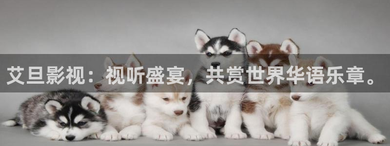 91人妻精品久久久久久久电影