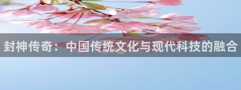 久久视频5