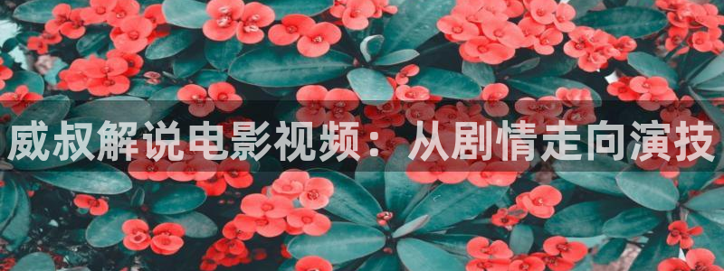 精品久久久久视频