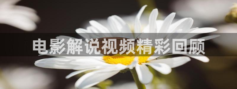 j午夜精品久久久久毛片