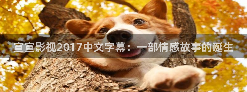 久久久久的视频