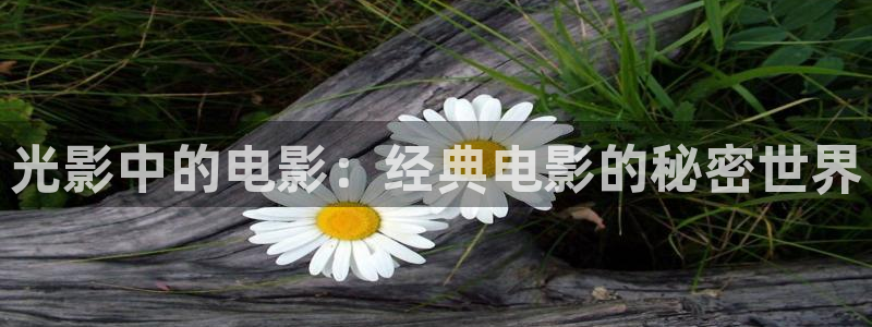 久久视频伦理