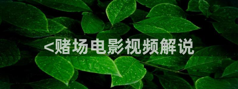 努努影院午夜久久久