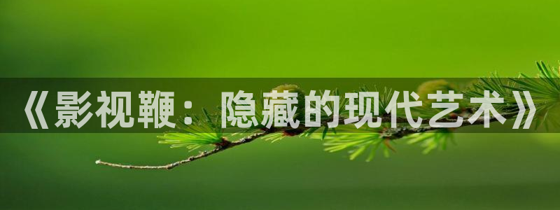 国产精品久久视频