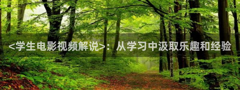 日本视频久久久久