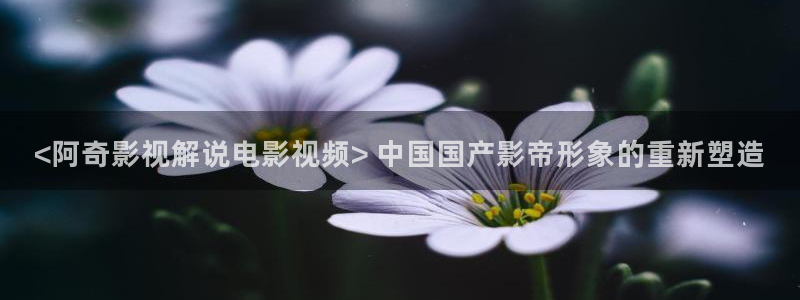 久久久电影影院
