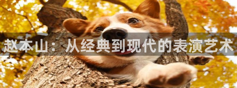 精品影视久久久久
