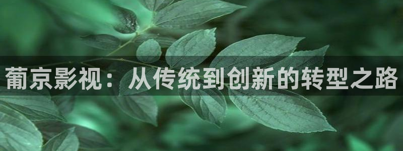 6699嫩草久久久精品影院