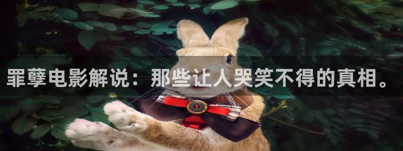 久久久影院官网