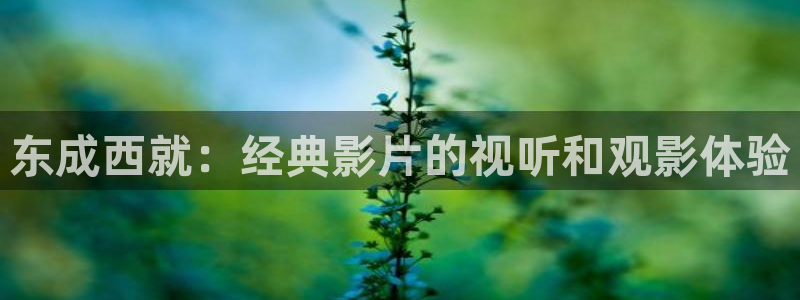 久久久电影免费观看完整版