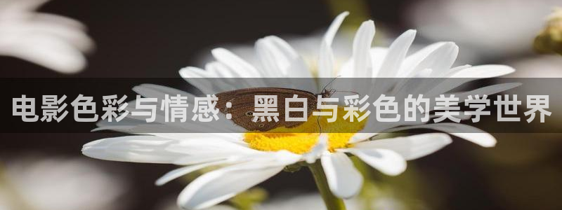 久久久久久久久国产视频