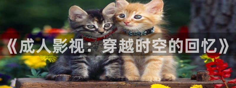 国产精品久久久激情影院