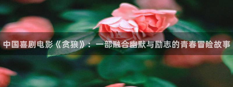 久久视频8