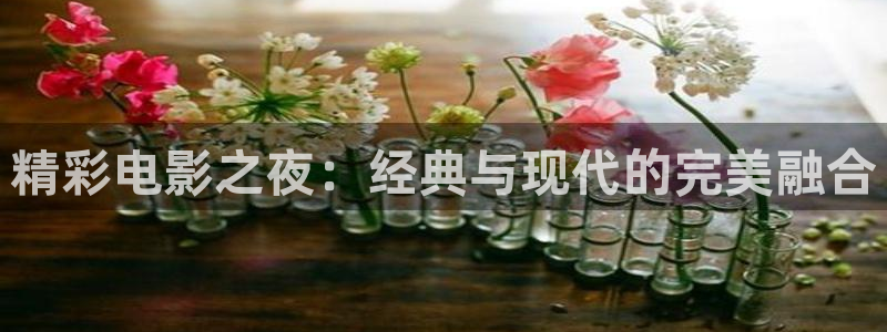 国产精品久久久久久久四虎电影
