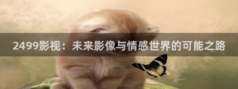 久久久久影视精品