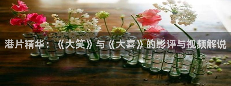 久久视频在线观看