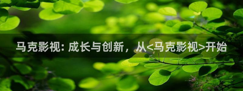 久久视频免费