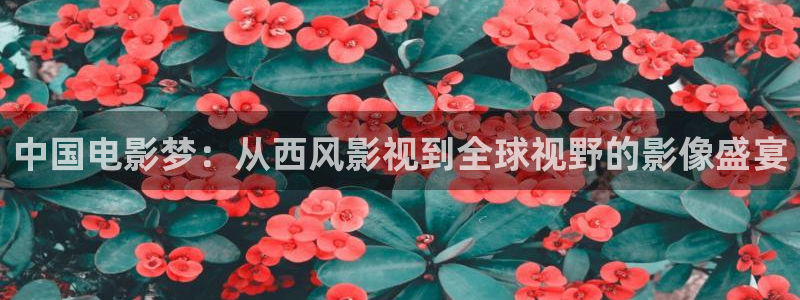 日韩精品久久久久免费电影