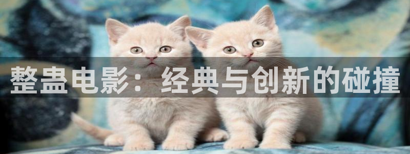 欧美久久久久视频