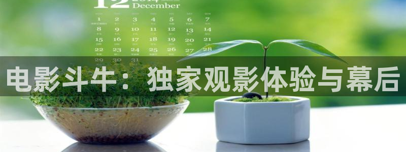 国内久久久久影院