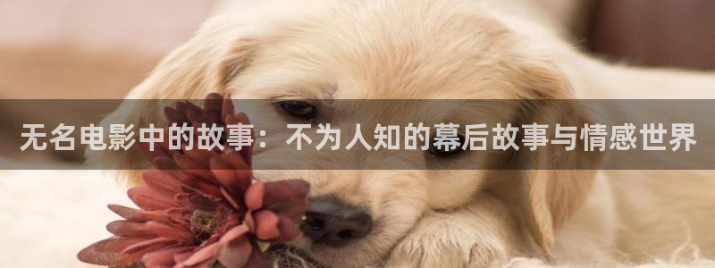 久久久久久视频免费观看