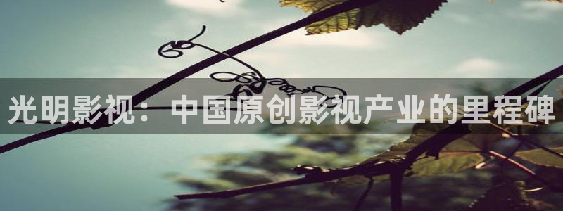 国内精品久久久久影院免费