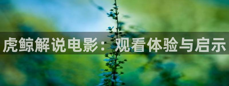 亚洲精品成人久久久影院